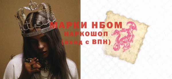 стаф Каменка