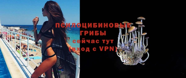 mdpv Каменск-Шахтинский