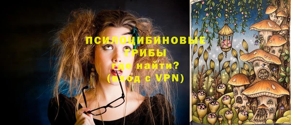 стаф Каменка