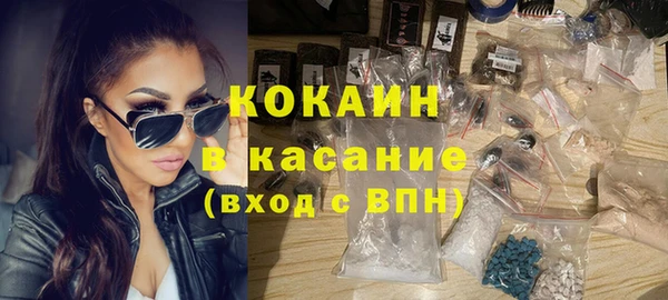стаф Каменка