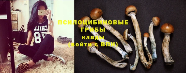 меф Каменногорск