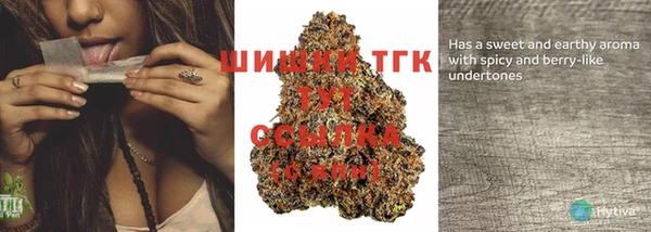 стаф Каменка