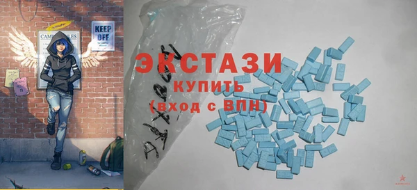 стаф Каменка